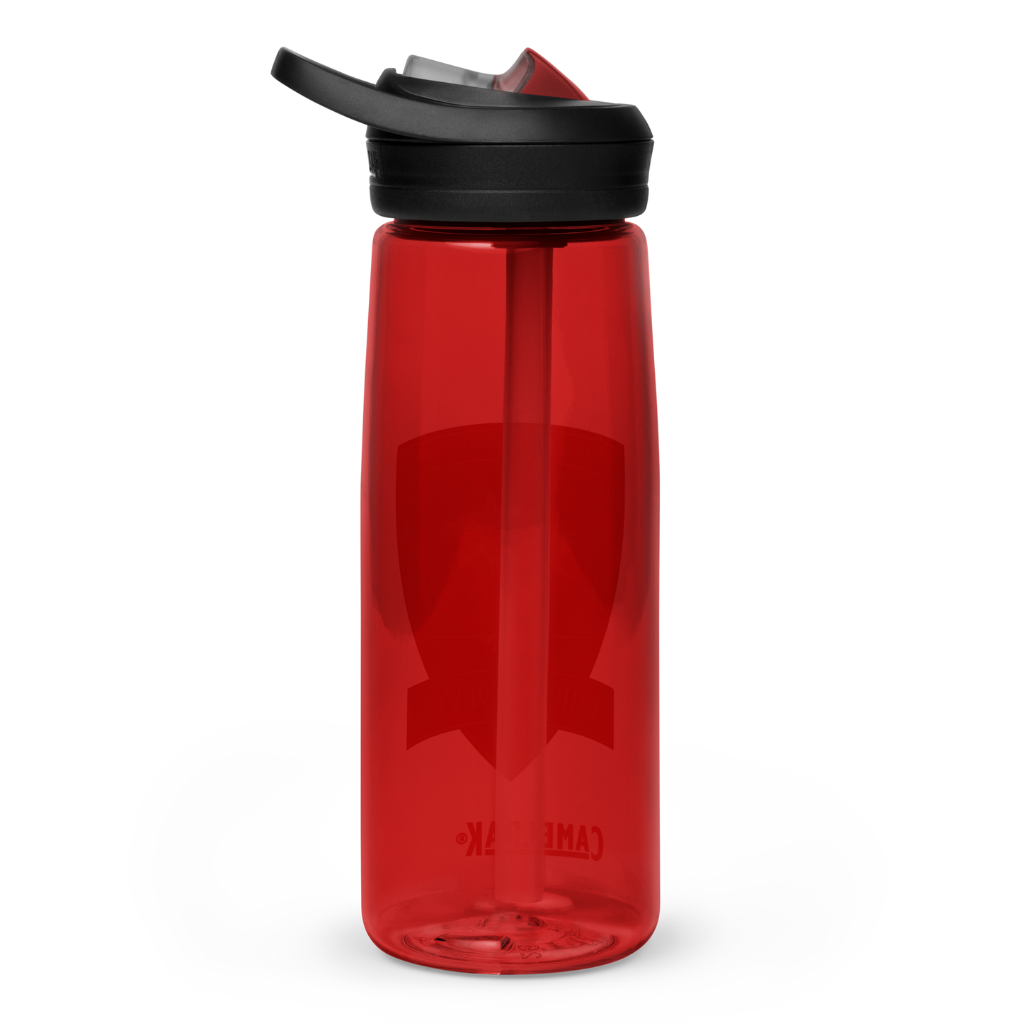 Delta Company, 82nd Aviation Regiment Direwolves CamelBak Water Bottle