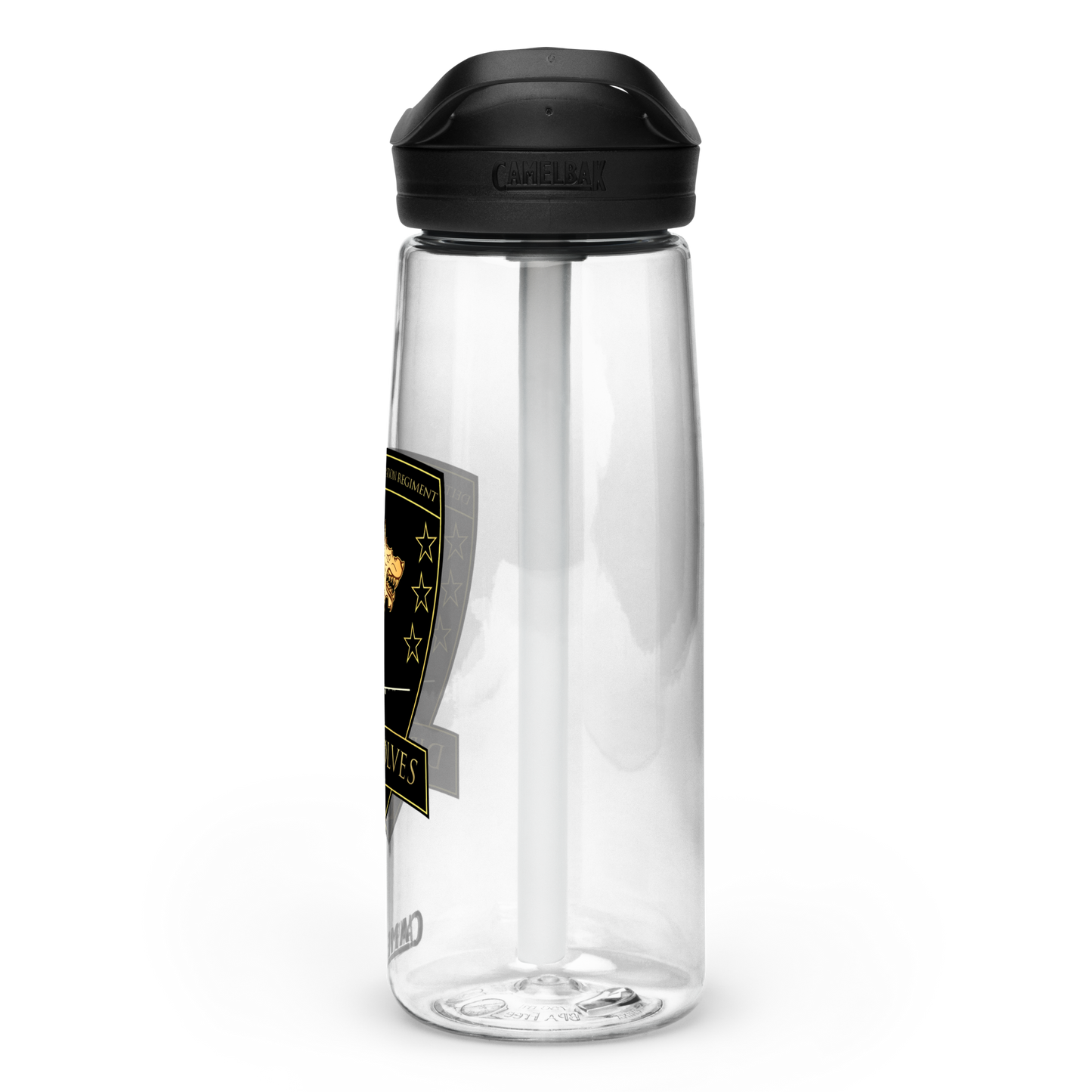 Delta Company, 82nd Aviation Regiment Direwolves CamelBak Water Bottle